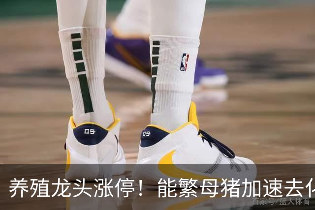 养殖龙头涨停！能繁母猪加速去化，生猪产业迎来左侧布局窗口