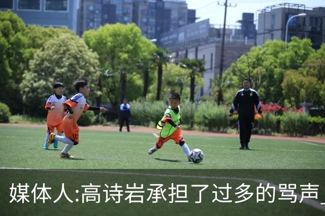 媒体人:高诗岩承担了过多的骂声 下一个被骂的是谁？